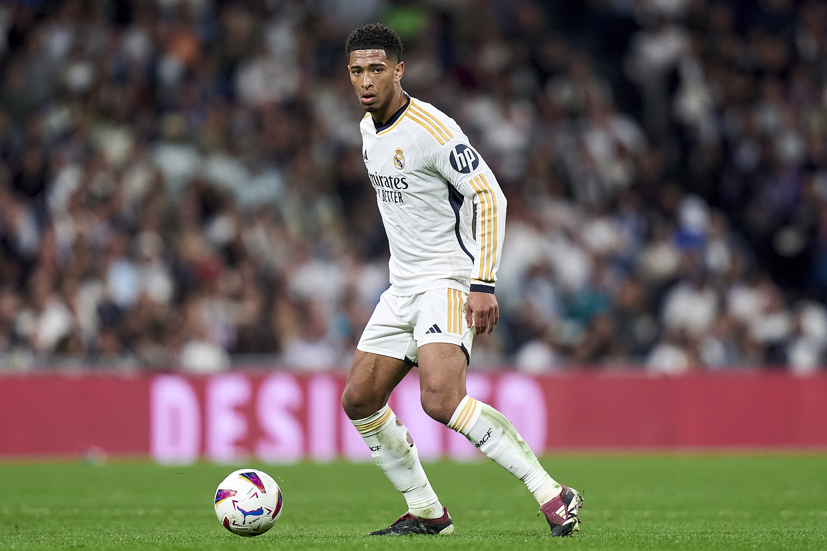 决策维度 决策维度