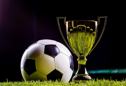 这类内容 这类内容