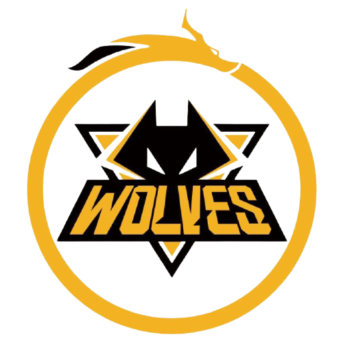 罗宾逊入选 罗宾逊入选